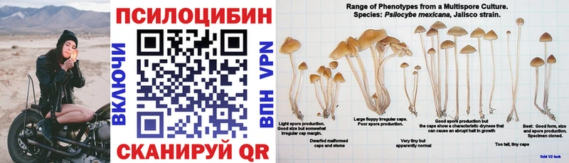 Галлюциногенные грибы Psilocybe  Арамиль 
